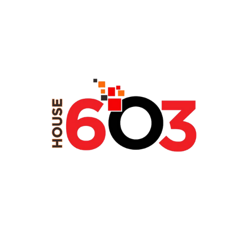House603 Digital Solutions Official Logo